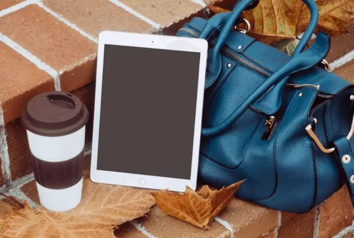 Ручная кладь